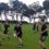 JUNE/JULY: PRESEASON TRAINING