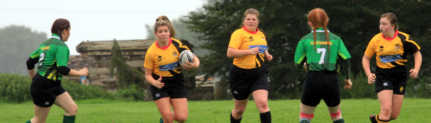 hornetsfixtures