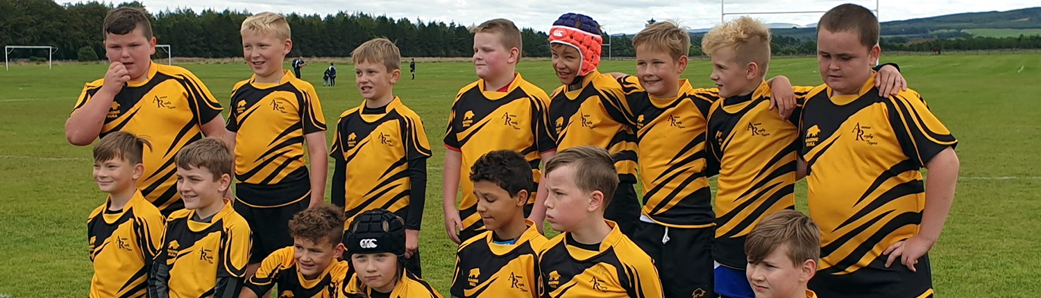 tigersfixtures